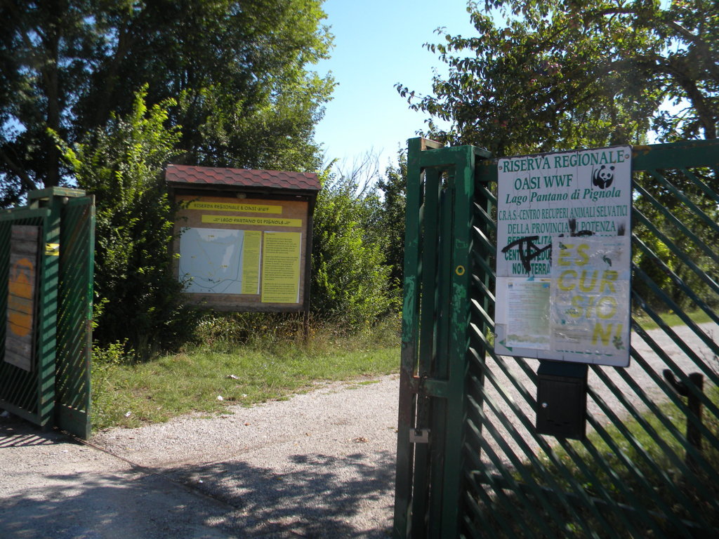 DSCN2703 .JPG